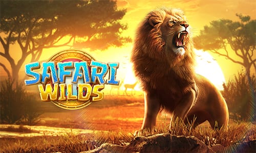 pg slot game Safari Wilds Brave